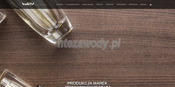 WPJ International